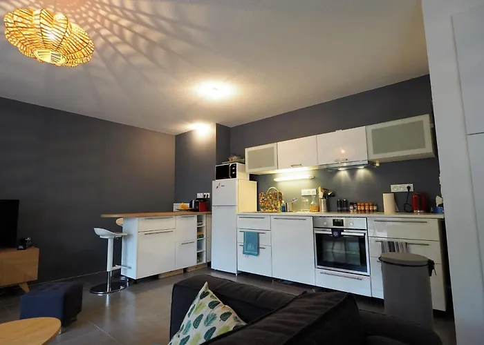 Bel Proche Centre Avec Terrasse Et Parking Pour 6 Personnes A - Fr-1-474-63 דירה